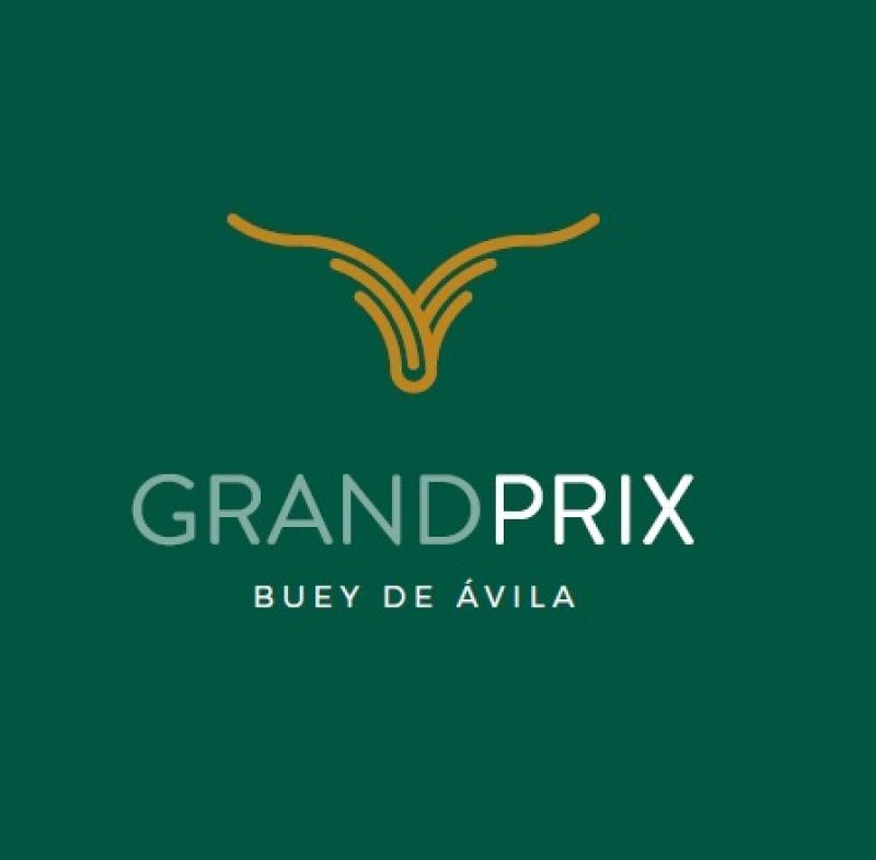 Grand Prix • Buey de Avila 